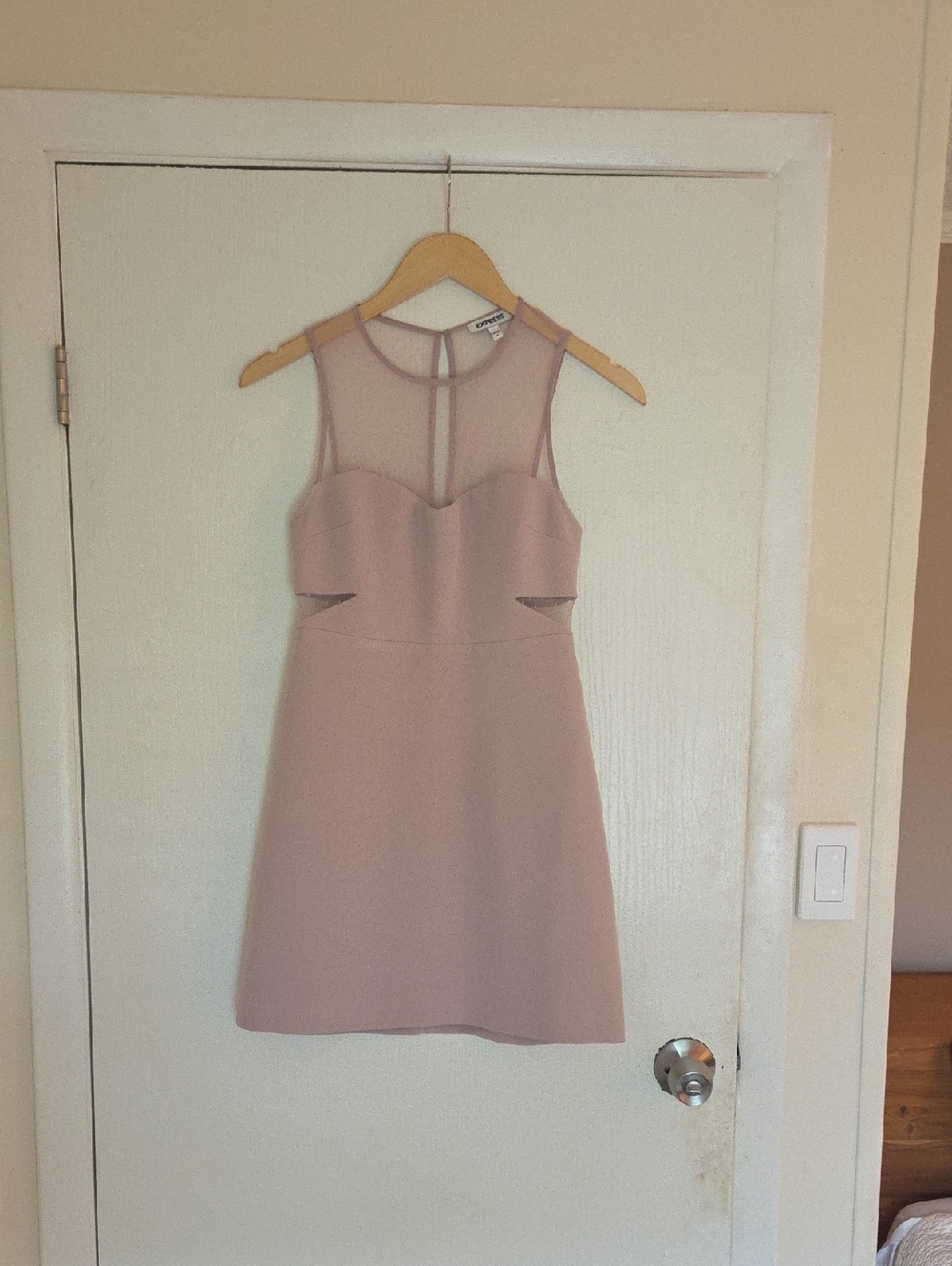 Express Blush Pink Mesh Mini Dress